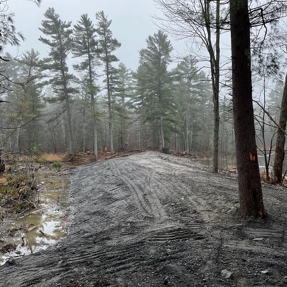Shoreline Restoration