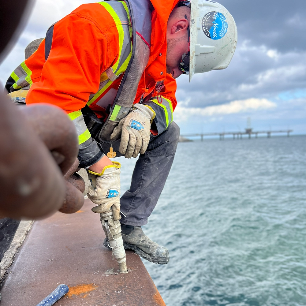 Shoreline Restoration