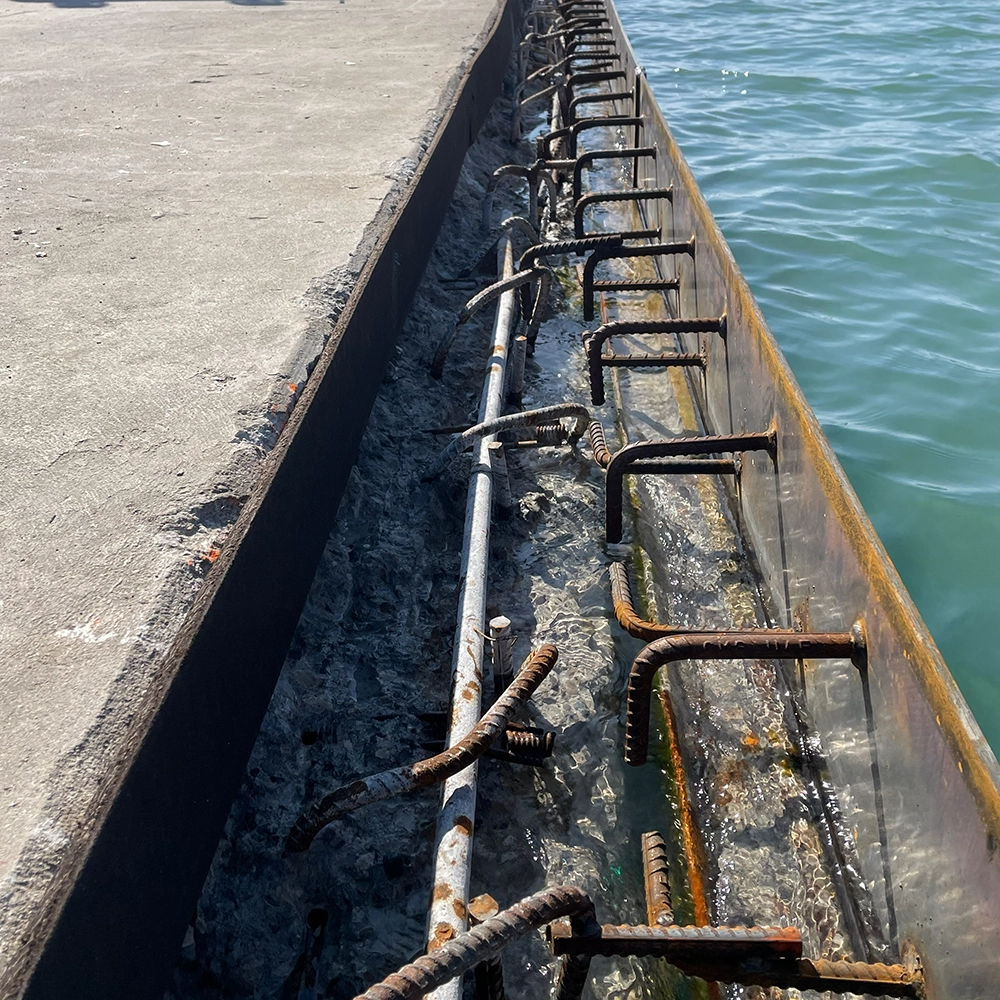 Shoreline Restoration