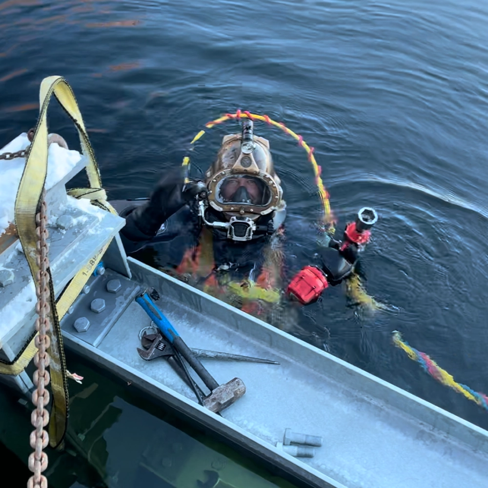 Shoreline Restoration