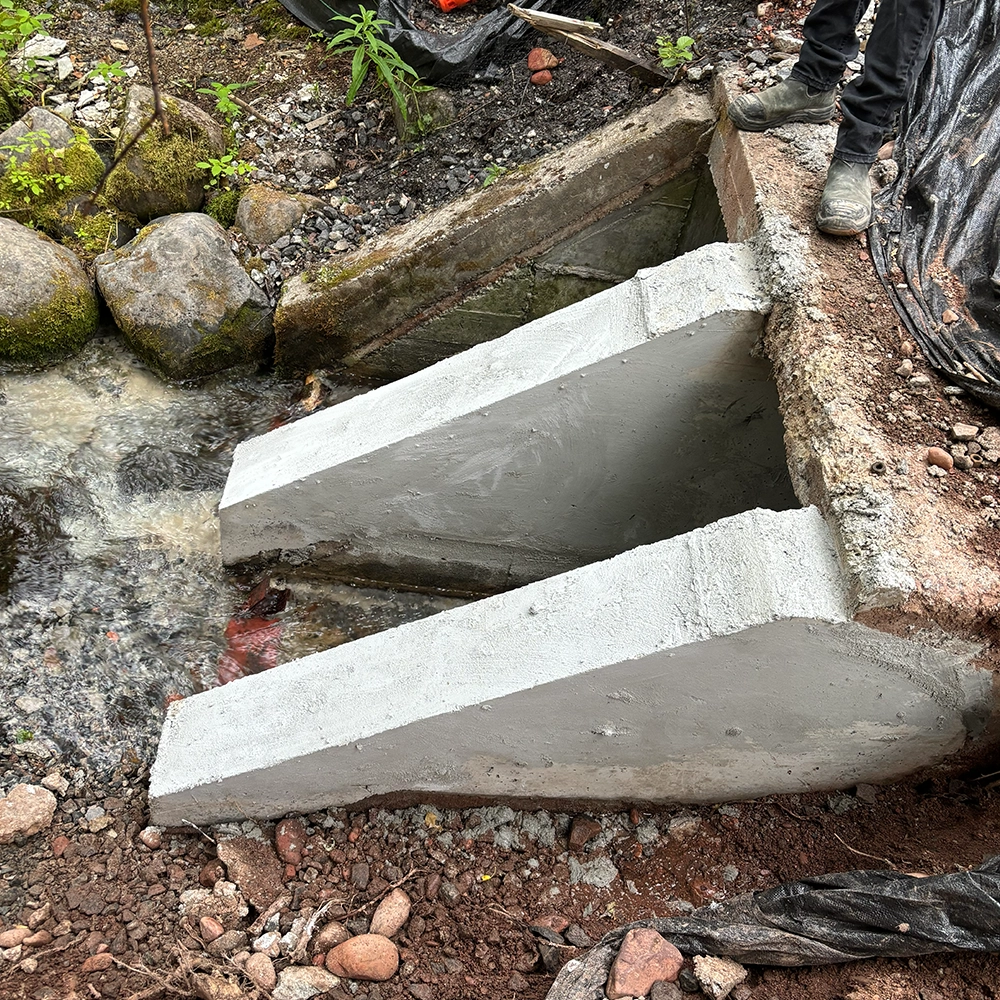 Shoreline Restoration